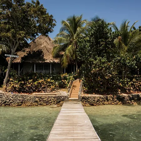 Isla Amor